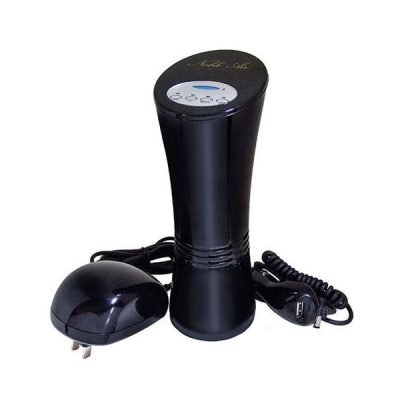 noble auto air purifier
